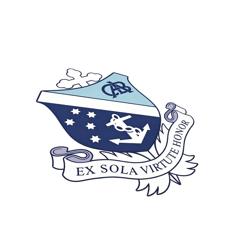 欧式贵族纹章主题平面 2D 烫画标 复古学院风服饰热转印装饰标 - 图片 2