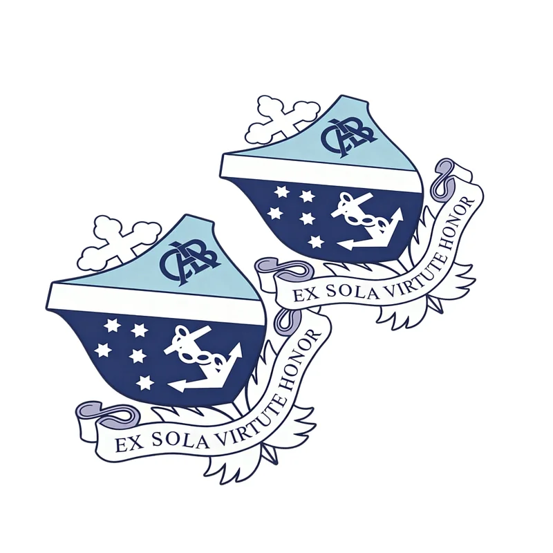 欧式贵族纹章主题平面 2D 烫画标 复古学院风服饰热转印装饰标 - 图片 5